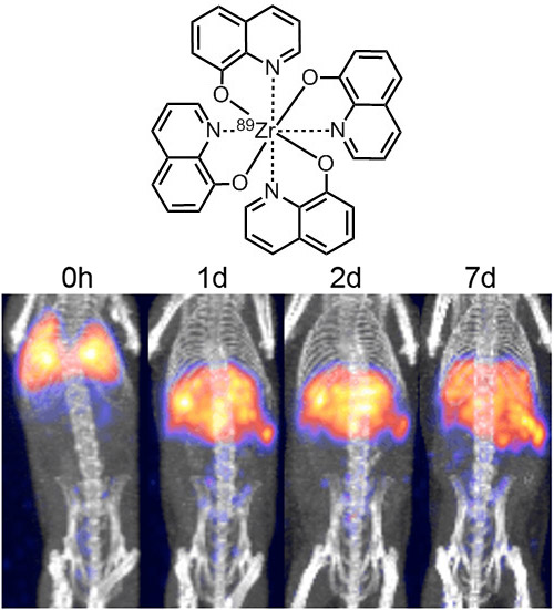 PET & SPECT Imaging - 89Zr