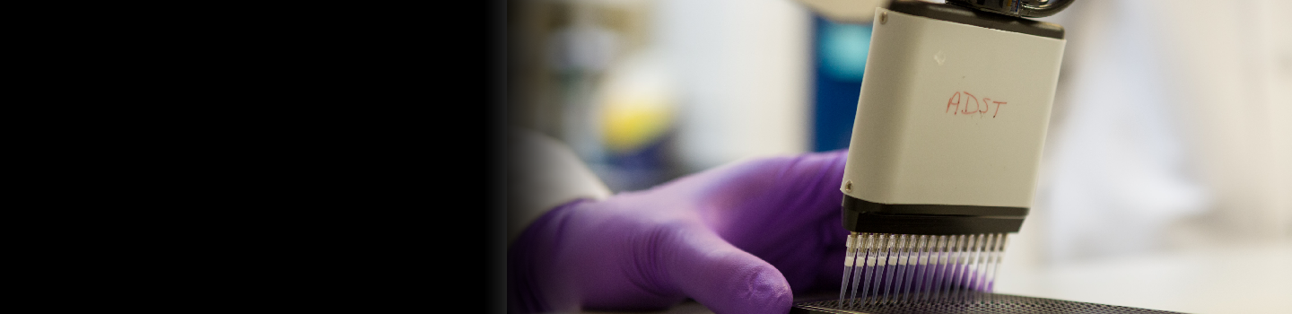 Filling 1536-well plates in NCATS’ Assay Development and Screening Technology Lab.