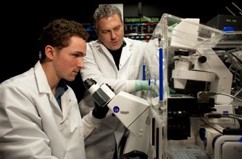 Vladimir Khristov (left) and Arvydas Maminishkis examine RPE cells grown on scaffolds to determine if the cells look and behave like native RPE.