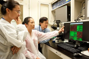 Visiting fellows Man Li, MD., Ph.D. (left), Yan Cai, M.D., Ph.D. (center), and Dr. Gao examine results of microarray analysis of gene expression from alcoholic livers.