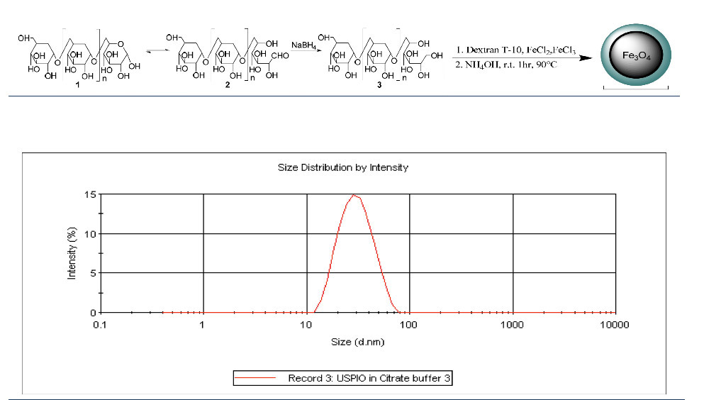 MRI Imaging - Iron Oxide Nanoparticles