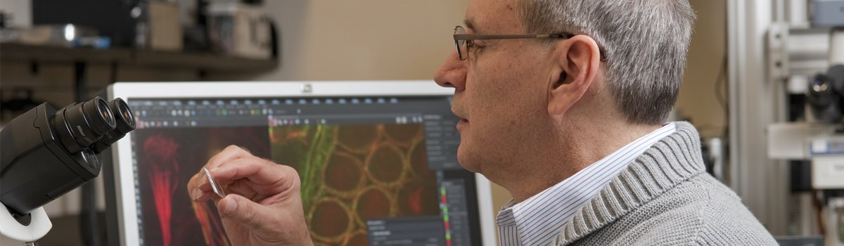 Bechara Kachar uses high-tech imaging to understand the cell biology of hearing.