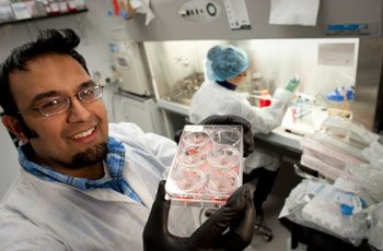 Omar Memon (left) and Juliet Hartford prepare RPE cells for maturation as a single cell layer.