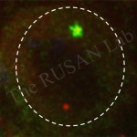 Neuroblast centrosome asymmetry