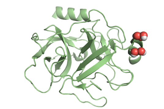 2a31_trypsin_with_borate.png