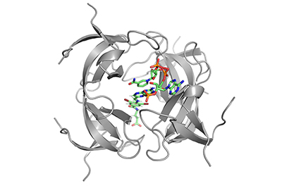 2hr2_dihydrofolate_reductase_r67.jpg