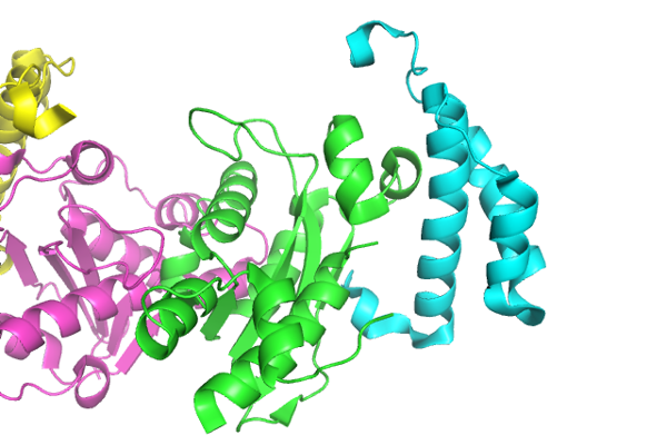2ido_e_coli_pol_iii_epsilon_hot_complex.png