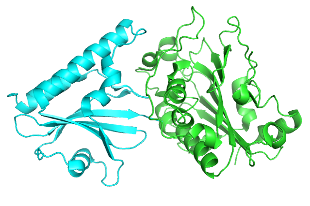 2o3b_nuia_and_nuca_complex.png