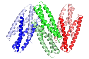 3mq1_der_p_5_dust_mite.png