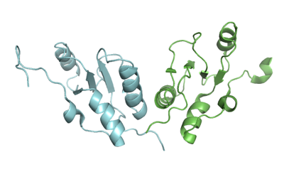 3pc6_xrcc1_brct_domain_2.png
