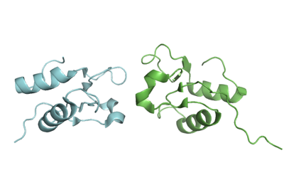 3pc7_dna_ligase_iiialpha_brct_domain.png