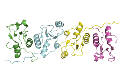 3qvg_xrcc1_bound_to_dna_ligase.png