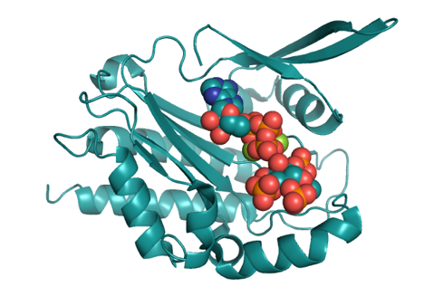 4o4d_inositol_hexophosphate_kinase.png