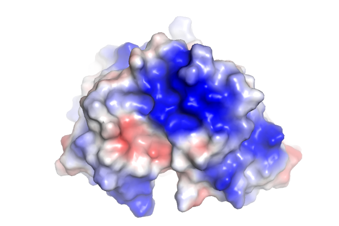 4ouo_antibla_g_1_scfv.png