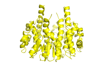 4q5n_blo_t_8_dust_mite.png