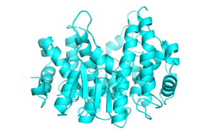 4q5q_der_p_8_dust_mite.png