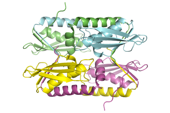 5dzm_domain_swapped_hivrnase_h_domain.png