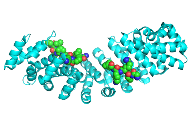 5e6q_importin_with_xrcc1_nls_peptide.png