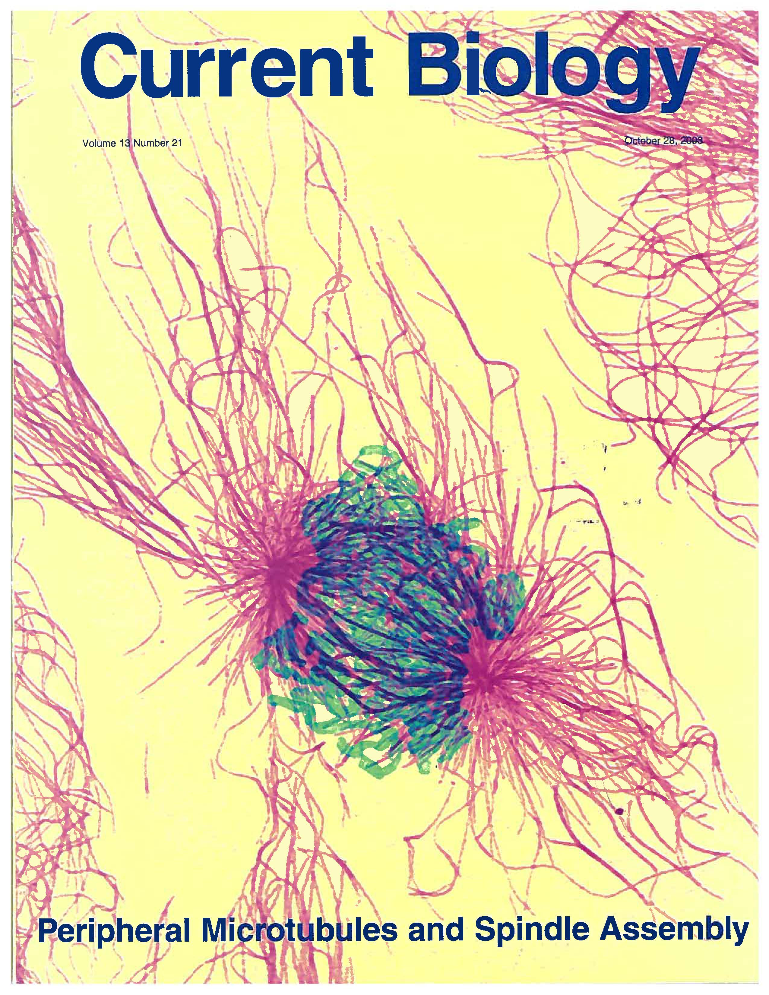 Current Biology 2003