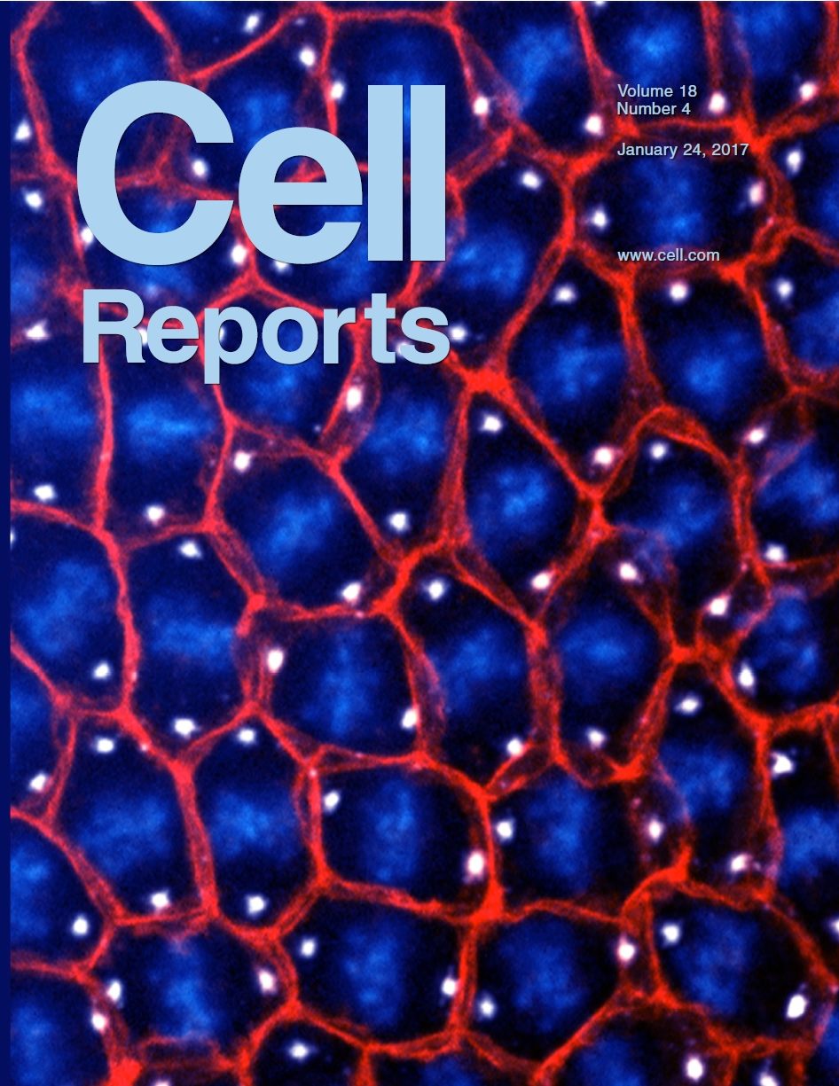 Cell Reports 2017