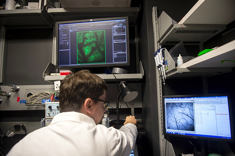 Postdoctoral fellow Marcin Szczot uses two-photon imaging to examine sensory responses in the mouse brain