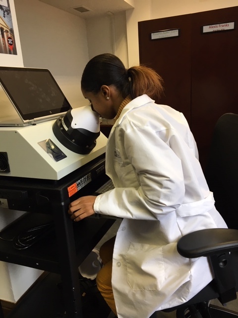 Alexis Franks, postbaccalaureate fellow, looks through the dome of an olfactometer that measures odor concentration.