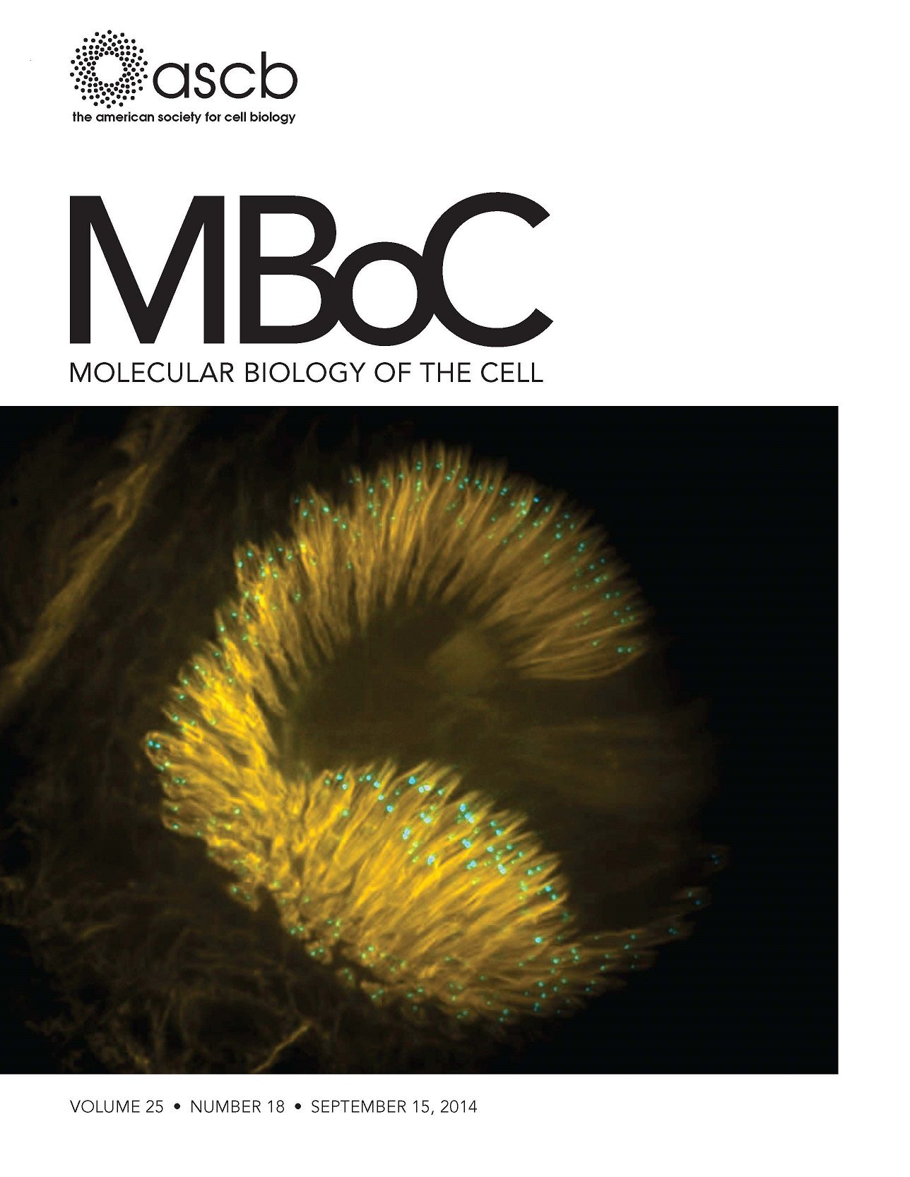 MBoC 2014