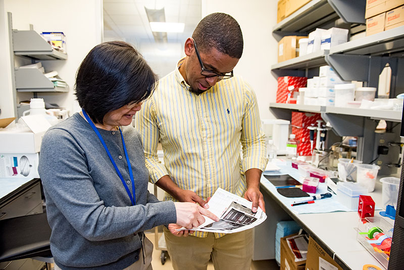 Dr. Penzo reviews experimental results with Yan Leng, his staff scientist and lab manager.