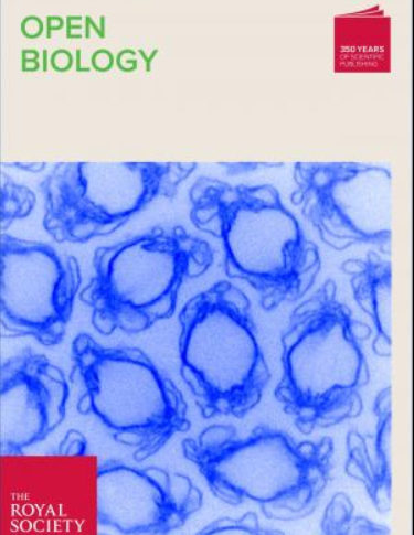 OpenBiology 2015