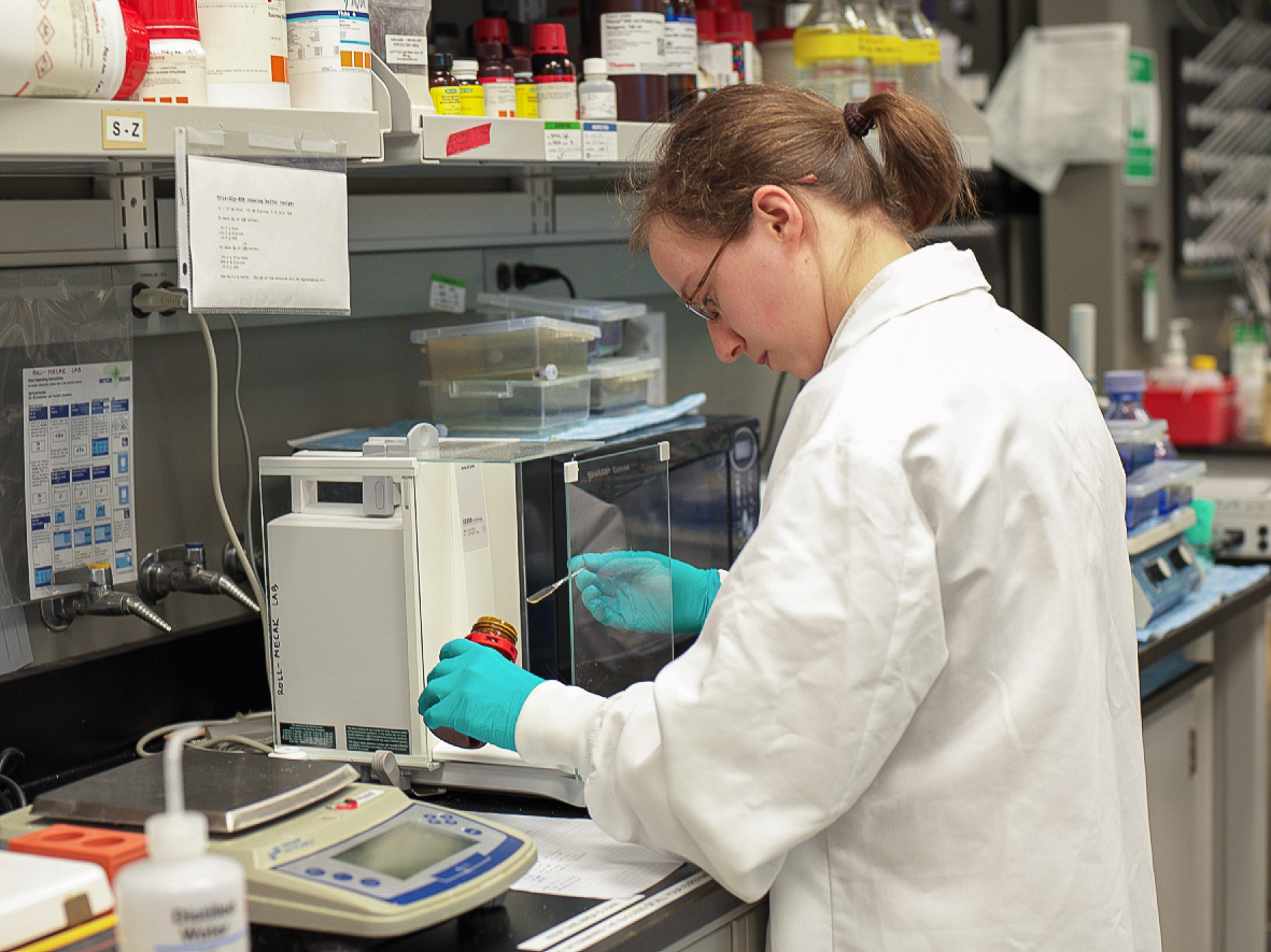 Postdoctoral Fellow Ewa Szczesna, prepares reagents for her experiment.