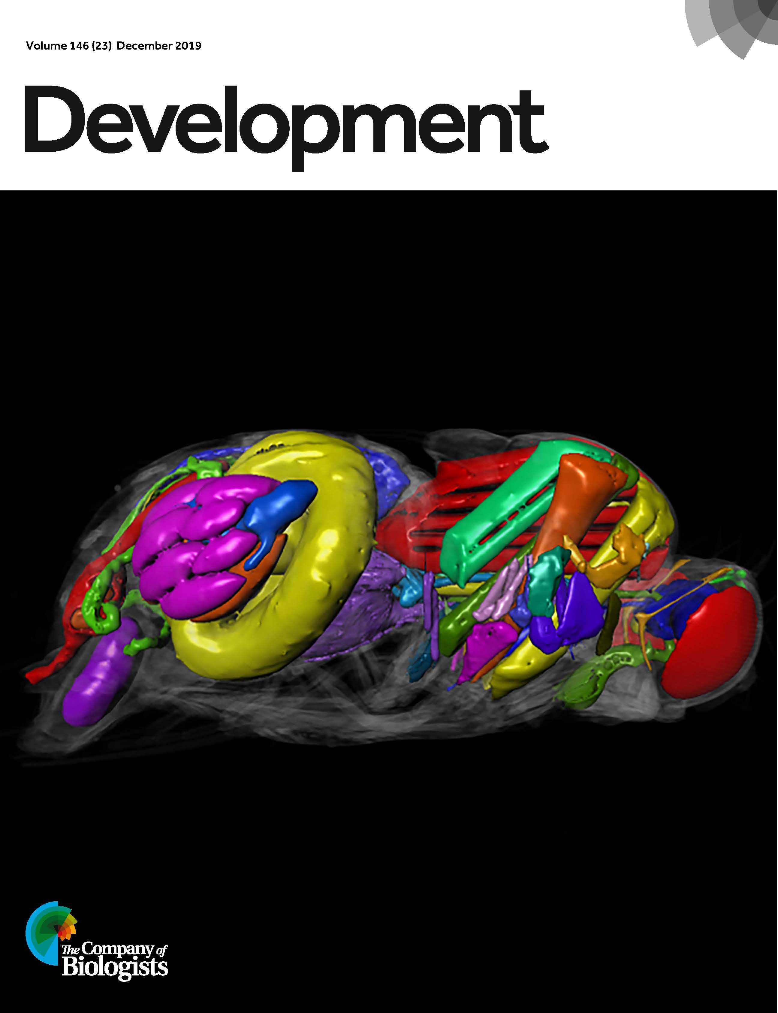 Development 2019