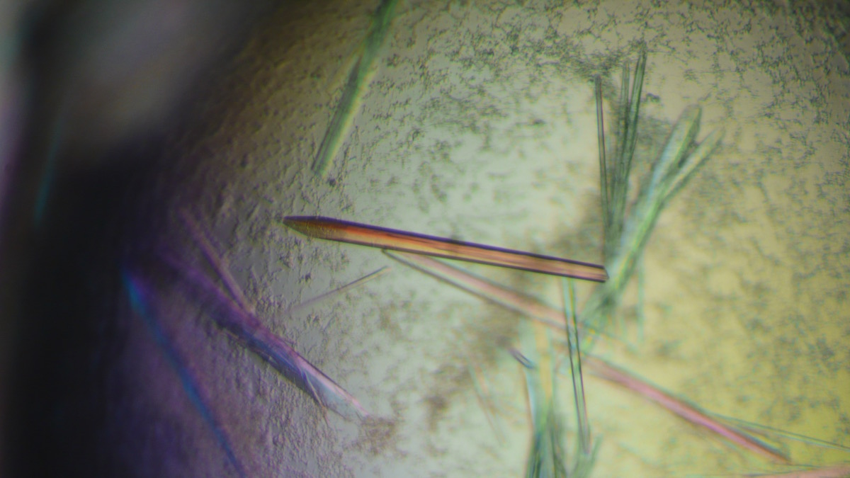 Crystals of TTLL7, an enzyme that adds the amino acid glutamate to tubulin and functions as a "traffic signal" on the cell's "microtubule roadways"