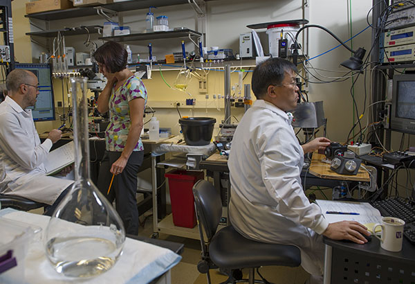 Principal Investigator Veronica Alvarez (center) at work in the lab with postdoctoral fellows Martín Adrover (left) and Jung Hoon Shin