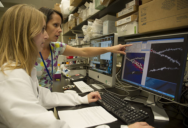 Postbaccalaureate fellow Katie Holroyd (left) and Dr. Alvarez analyze dendritic spines in medium spiny neurons in the nucleus accumbens of a mouse lacking dopamine autoreceptors