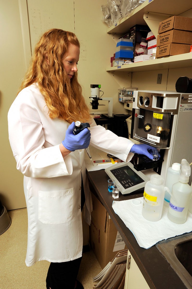 Postdoctoral fellow Lucy Williams, Ph.D., uses bone marrow-derived macrophages from mice lacking NELF-B to investigate cytokine production