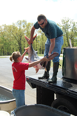 anglerpaddlefish.jpg