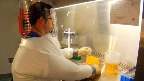 Dave Safronetz, Ph.D., works in a Level 4 biosafety lab at Rocky Mountain Laboratories (RML)