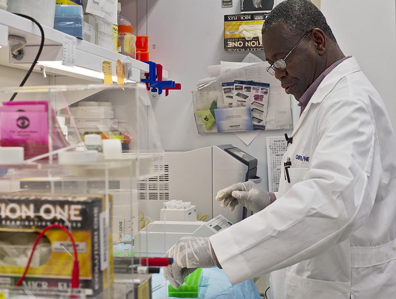 Felix Onojafe, D.V.M., purifies DNA for analysis