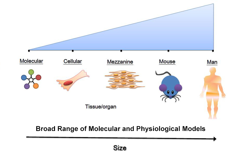 calcium_signaling_in_health_and_disease.jpg