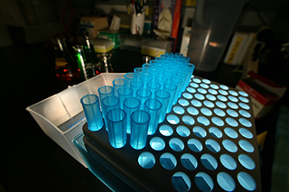 calltoactionsmall_animaltesting_image.jpg