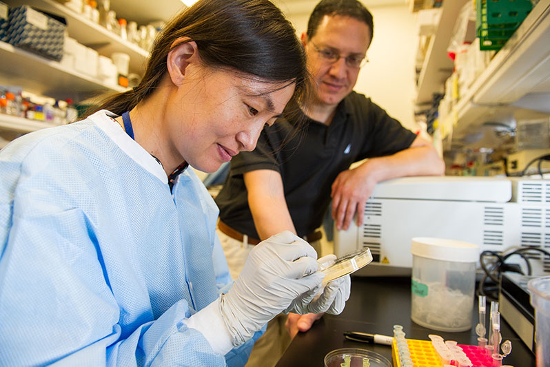 Research fellow Kyongrim Kwon, Ph.D., and Principal Investigator Rafael Casellas, Ph.D., create tools for genetic modification