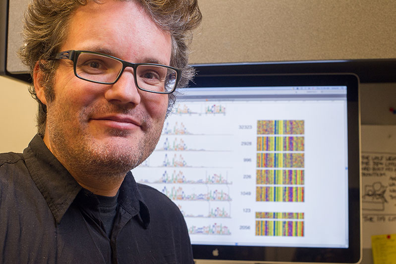 Staff scientist Wolfgang Resch, Ph.D., analyzes data from the lab for information that will lead to new insights about the genome