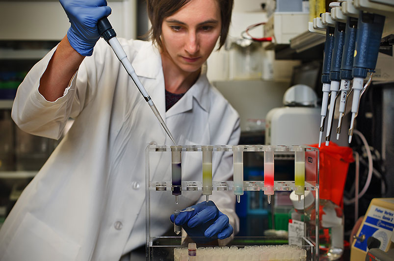 Research fellow Diane Bolton, Ph.D., purifies dyes used to tag proteins on the surface of cells