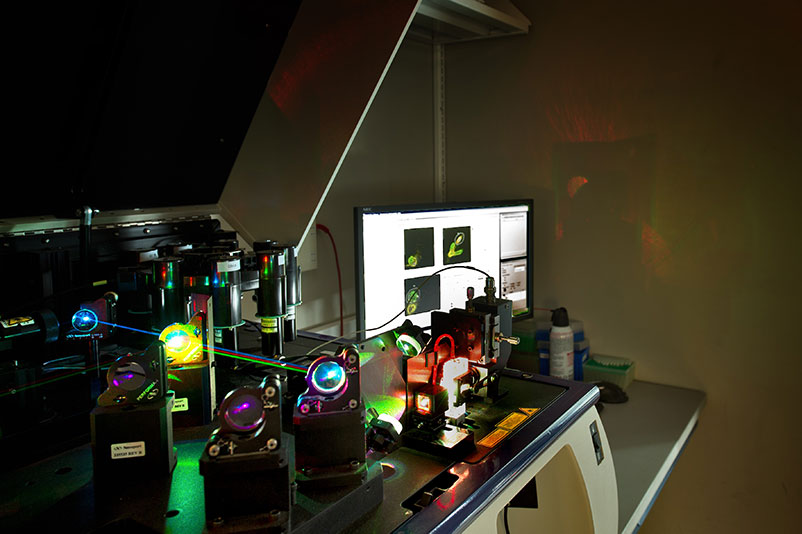 Different colored lasers stimulate dyes that fluoresce at various wavelengths of light