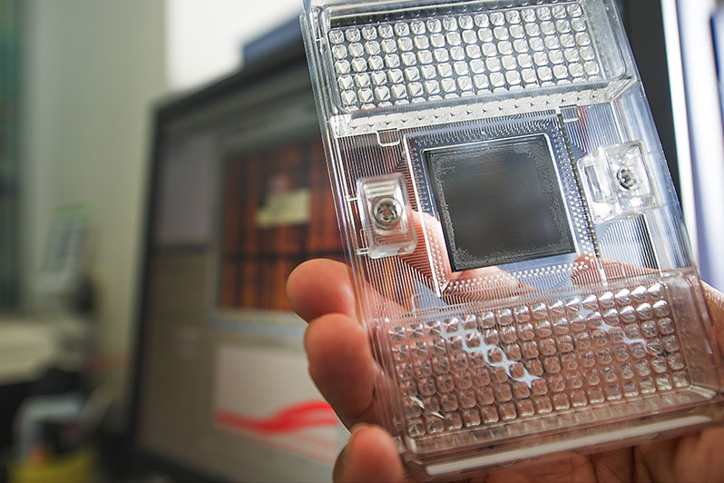 Chattopadhyay’s team uses an integrated fluidics chip that can simultaneously detect expression of 96 genes within 96 different immune cells