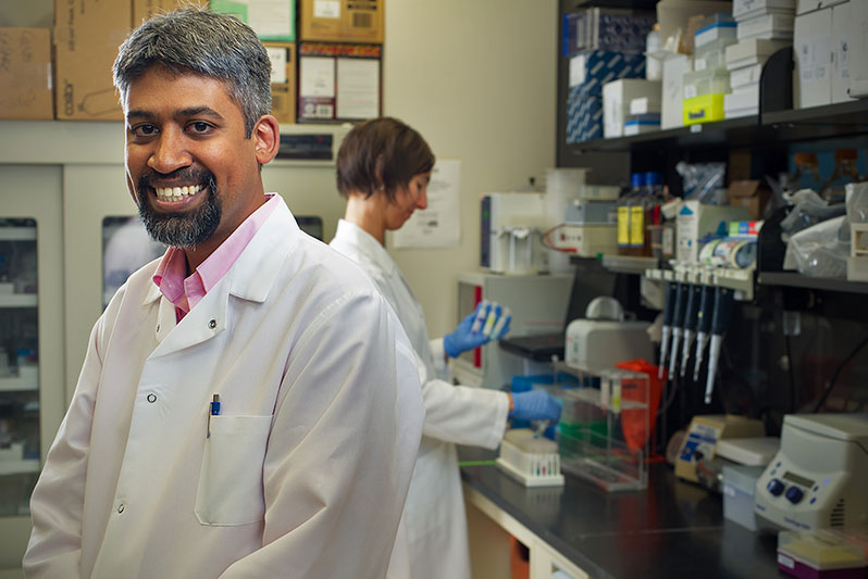 Drs. Chattopadhyay and Bolton in the lab, working on the next breakthrough in understanding immune function