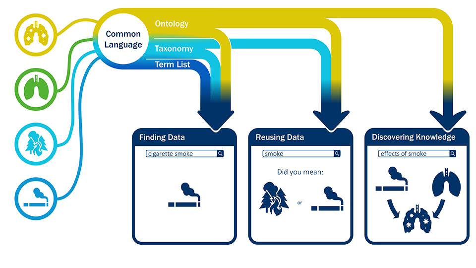 common_language_graphic.jpg