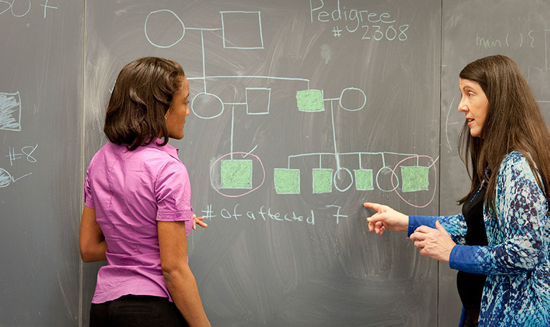 Dr. Cropp and her mentor, Joan Bailey-Wilson, Ph.D., plan next steps in the genetic analysis of a family with several members exhibiting prostate cancer