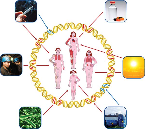 dna_circle.jpg