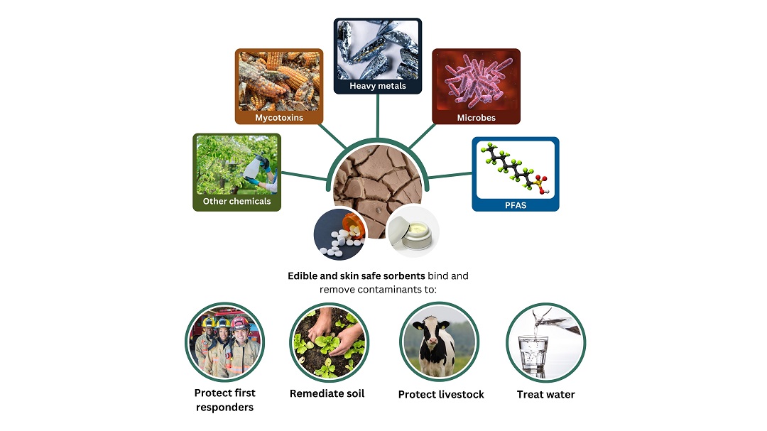 srp_phi_enterosorbents_graphic.jpg